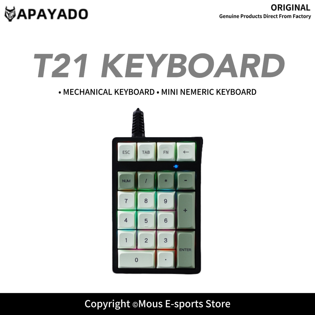Keyboard Numpad Separate - Tastierino Numerico Cablato T21 APAYADO con