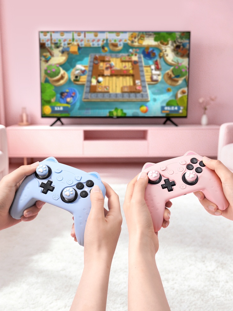 Custodia Protettiva Originale  - Gaming Accessories Japan recensione e prezzo